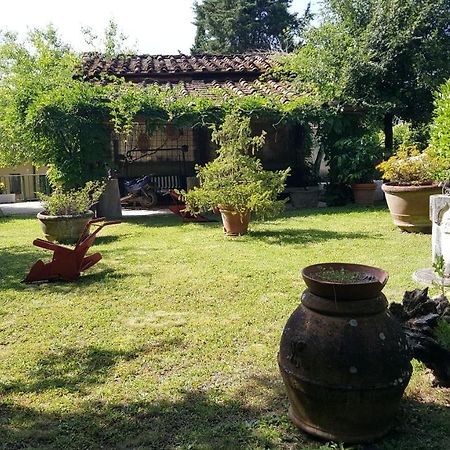 Agriturismo Podere I' Caldino Troghi Ngoại thất bức ảnh